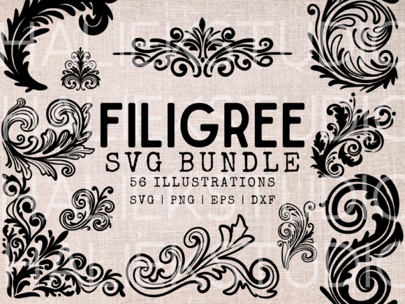 Download Filigree SVG Bundle - Ornamental Scrolls - Ornament Collection